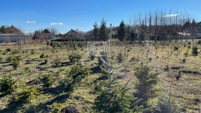 Baracska Telek - 45.000.000 Ft