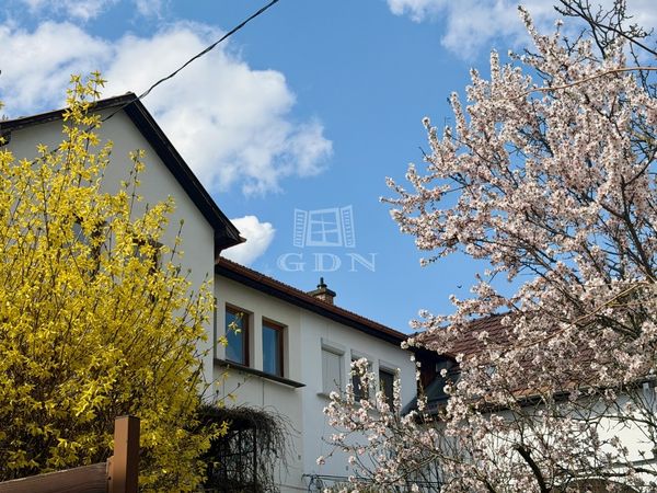 Vânzare Budapest III. kerület Duplex