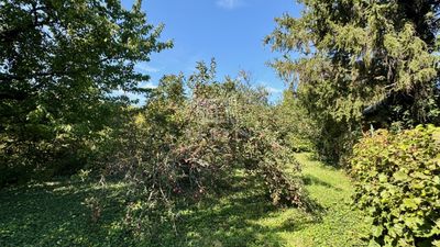 Diósd Telek - 149.900.000 Ft