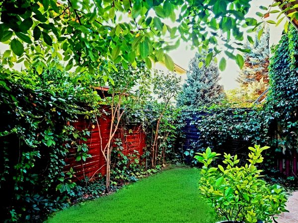 Eladó Budapest XVII. kerület Lakás