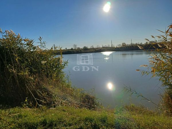 Eladó Tiszakécske Telek