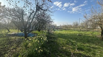 Kaposvár 土地 - 2.900.000 HUF