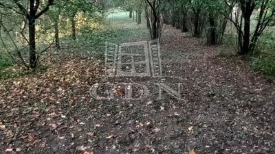 Tata Telek - 9.500.000 Ft