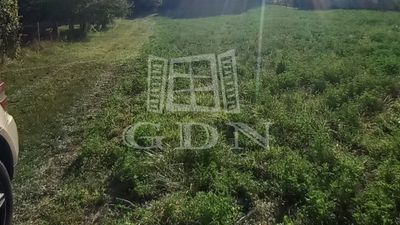 Tata Telek - 9.000.000 Ft