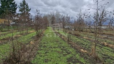 Nagyigmánd Mezőgazdasági terület - 23.000.000 Ft