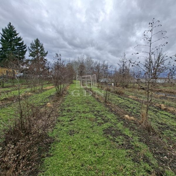 Eladó Nagyigmánd Mezőgazdasági terület