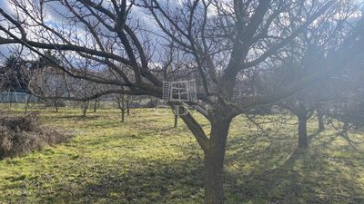 Sárszentmihály Wohngrundstück - 13.000.000 HUF