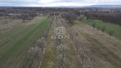 Nádasdladány Wohngrundstück - 16.000.000 HUF