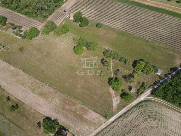 Eladó Lovasberény Telek