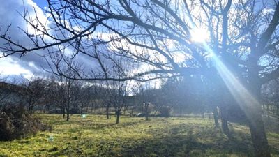 Sárszentmihály Telek - 13.000.000 Ft