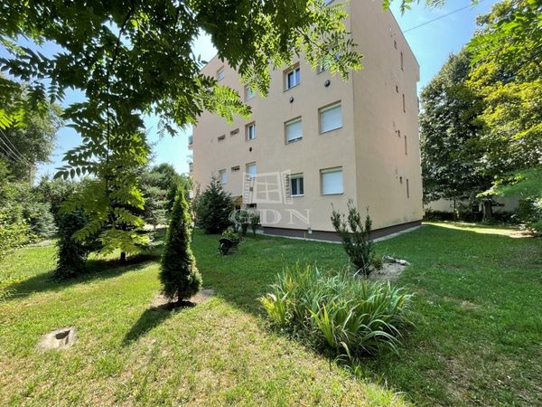 Miete Székesfehérvár Wohnung (Ziegel)