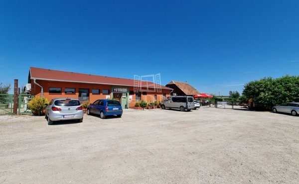 Eladó Székesfehérvár Vendéglátás