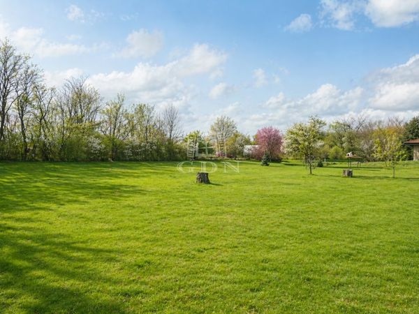 出卖 Sárszentmihály 土地