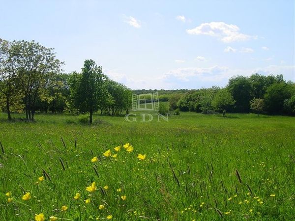 Vânzare Balatonfűzfő Zona de dezvoltare