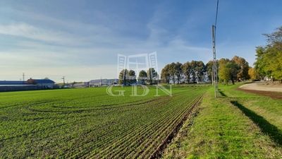 Dabas Ipari terület - 957.600.542 Ft