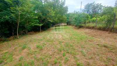 Verőce Telek - 6.450.000 Ft