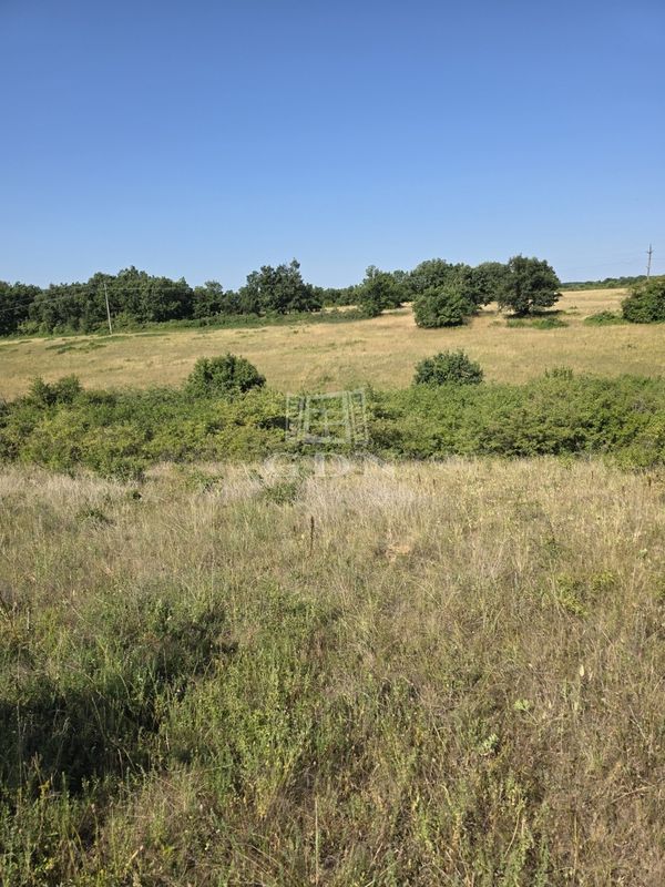 Eladó Balatonalmádi Telek