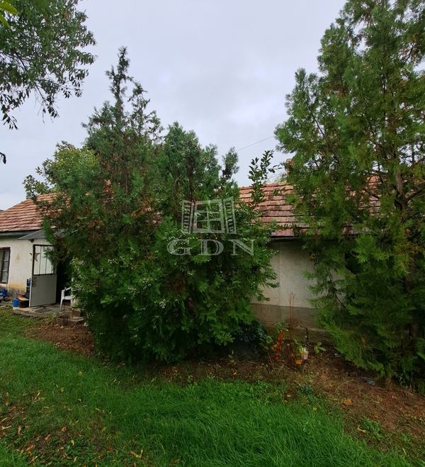 出卖 Polgárdi 家庭别墅