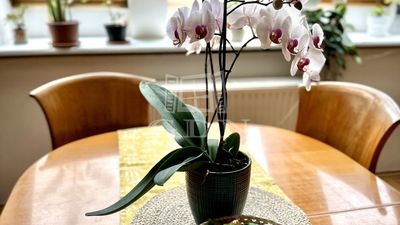 Budapest, VIII. kerület Lakás - 102.900.000 Ft