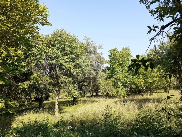 Verkauf Budakeszi Wohngrundstück