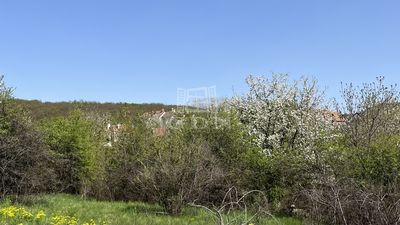 Budakeszi Building lot - 60.000.000 HUF