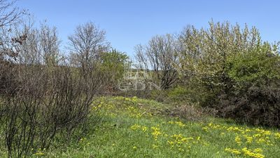 Budakeszi Telek - 60.000.000 Ft