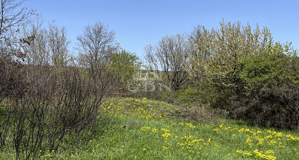 Eladó Budakeszi Telek