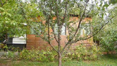 Budakeszi Building lot - 49.500.000 HUF