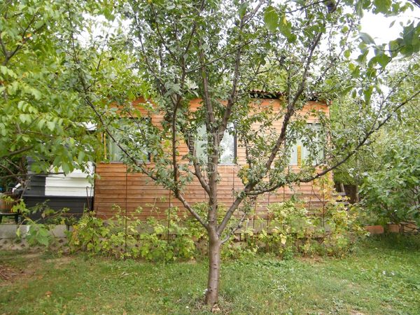 Verkauf Budakeszi Wohngrundstück