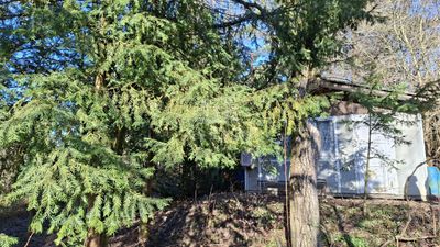 Budakeszi Telek - 29.900.000 Ft