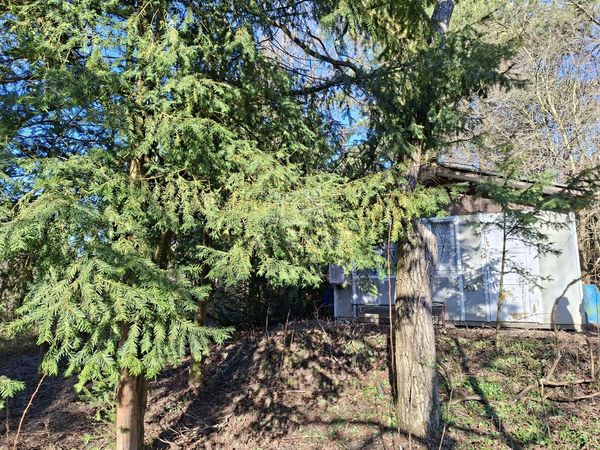 Eladó Budakeszi Telek