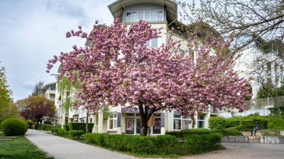 Budapest, XI. kerület  - 134.900.000 HUF