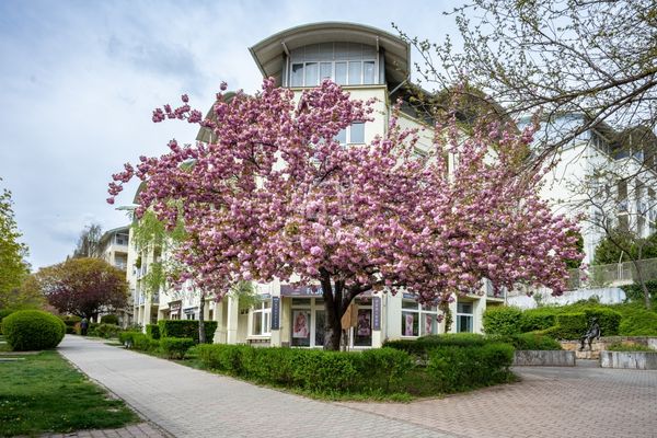 Eladó Budapest XI. kerület Lakás