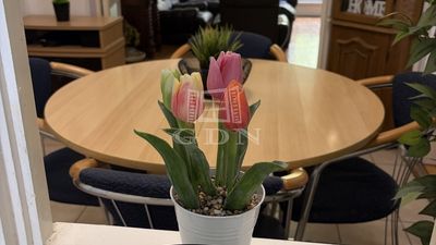 Budapest, XI. kerület Lakás - 99.900.000 Ft