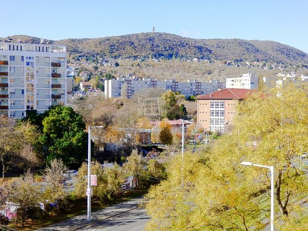 Eladó Budapest III. kerület Lakás