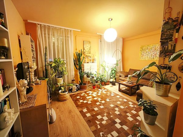 Eladó Budapest XIV. kerület Lakás (panel)