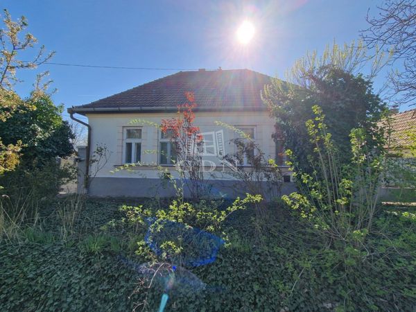 Eladó Tura Családi ház