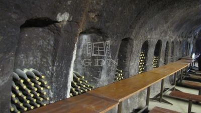 Gyöngyös Vendéglátás - 10.000.000 Ft