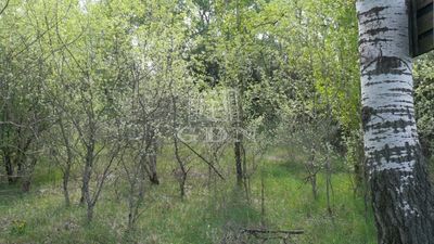 Kecskemét Mezőgazdasági terület - 12.000.000 Ft