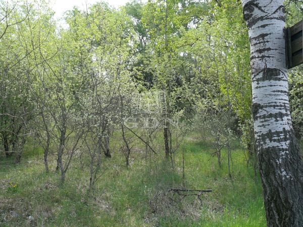 Vânzare Kecskemét Zona agricola