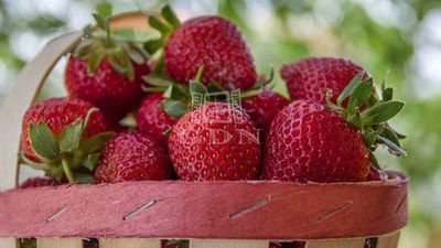 Kecskemét Mezőgazdasági terület - 540.000.000 Ft