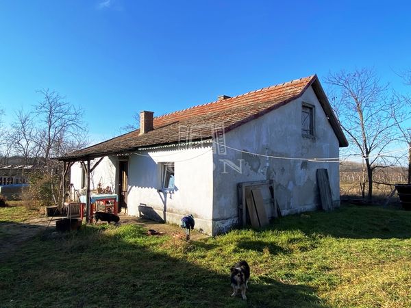 For sale Helvécia Farm