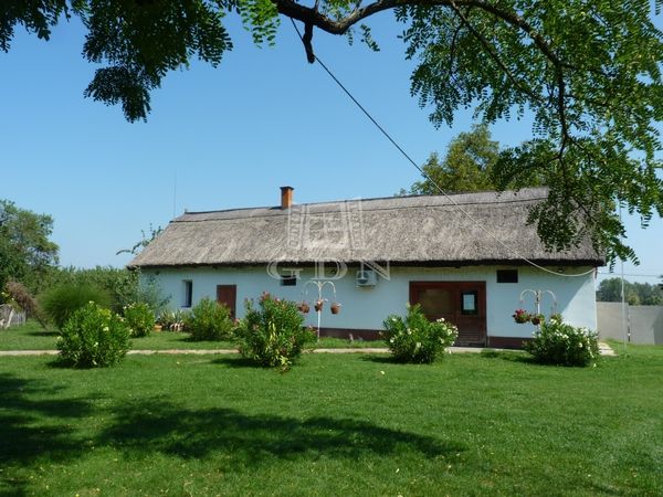 Eladó Lajosmizse Mezőgazdasági terület