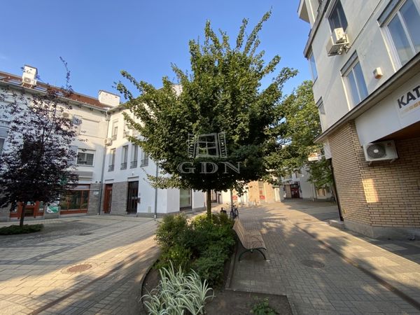 For sale Kecskemét Flat (brick)