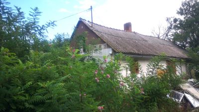 Kecskemét Tanya - 10.000.000 Ft