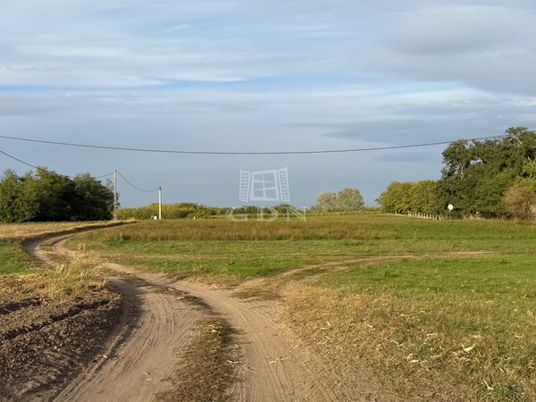 Eladó Kecskemét Mezőgazdasági terület