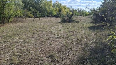 Kerekegyháza 农业区域 - 2.800.000 HUF