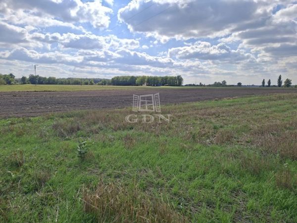 Eladó Kerekegyháza Mezőgazdasági terület