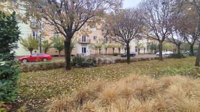 Kiskunfélegyháza  - 36.000.000 HUF