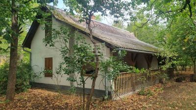 Nyárlőrinc 农场 - 39.000.000 HUF